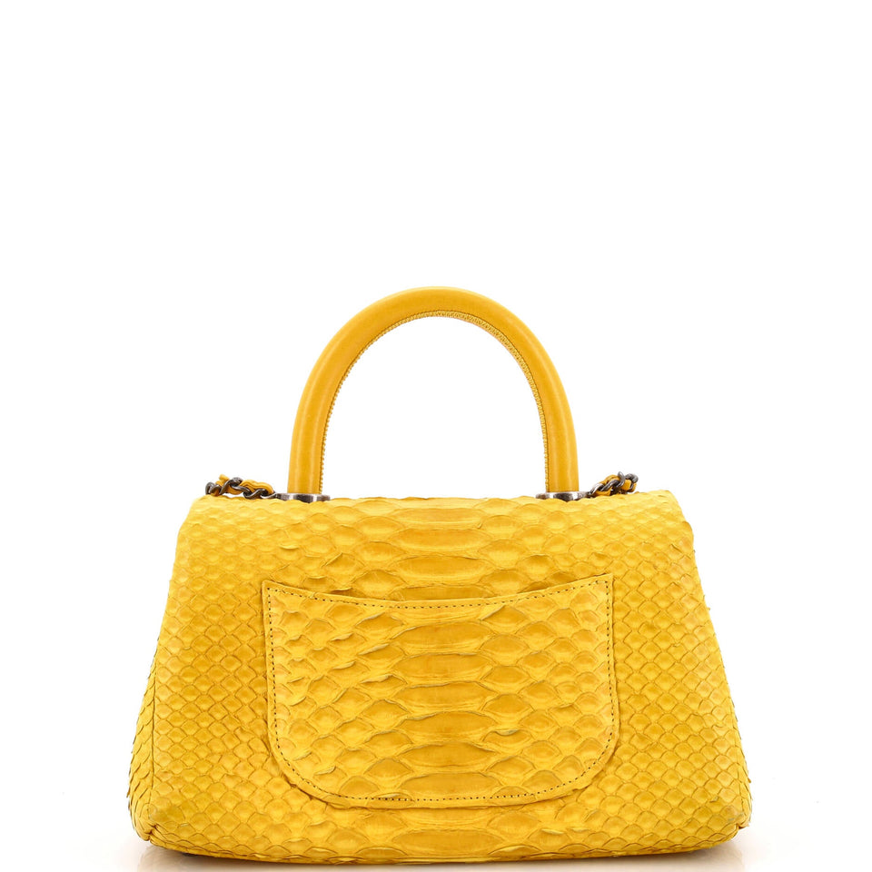 Coco Top Handle Bag Python Mini