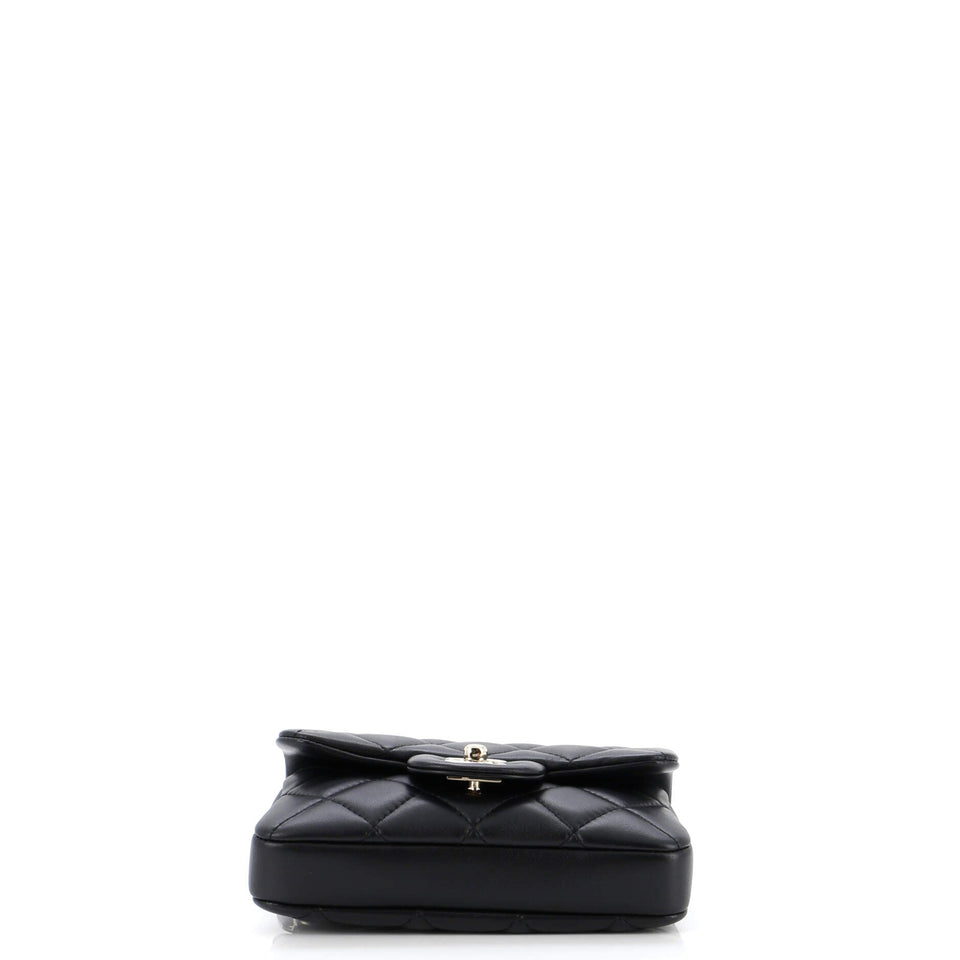 My Precious Pearls Waist Bag Quilted Lambskin Mini