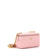 Pearl Samba Resin Classic Vanity Case with Chain Quilted Lambskin Small