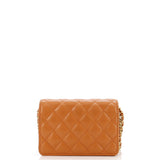 Mixed Chain Link CC Wallet on Chain Quilted Caviar Mini