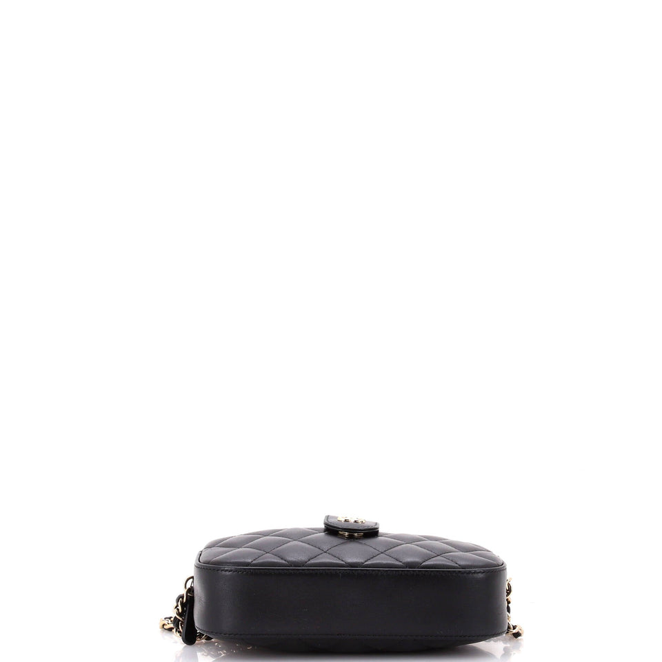 Slip Pocket Camera Case Bag Quilt Lambskin Mini
