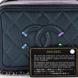 Filigree Vanity Case Quilted Iridescent Caviar Small