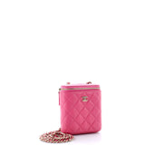 Vertical Classic Vanity Case with Chain Quilted Caviar Mini