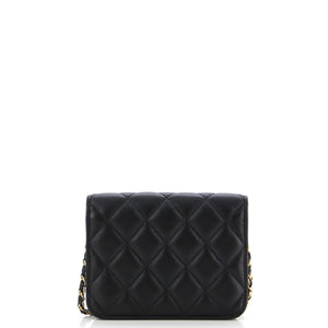 Pearl Crush Flap Clutch with Chain Quilted Lambskin Mini