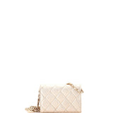 Classic Flap Chain Belt Bag Quilted Lambskin Mini