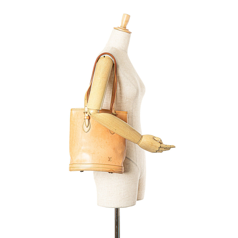 Brown Louis Vuitton Nomade Petit Bucket
