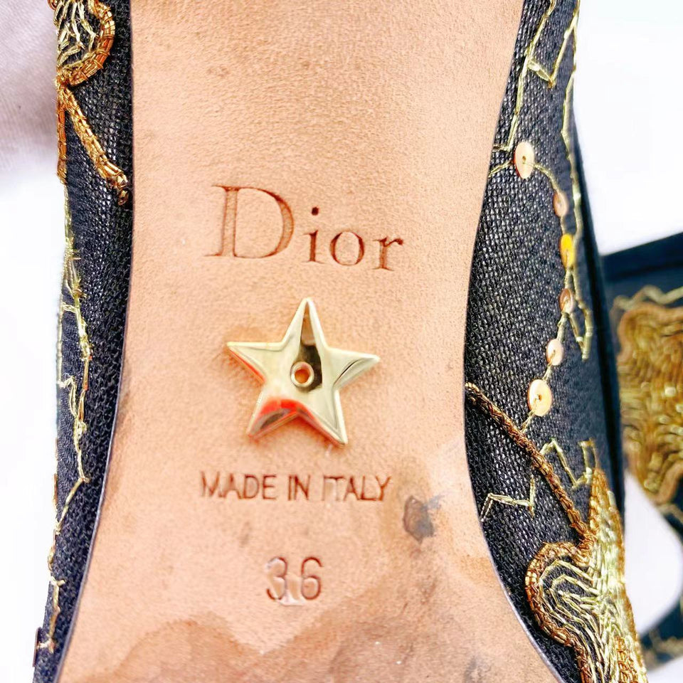 Christian Dior embroidered high heels