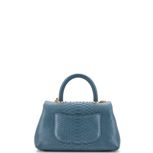 Coco Top Handle Bag Python Mini