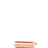 19 Clutch With Chain Quilted Lambskin