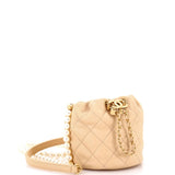 About Pearls Bucket Bag Quilted Calfskin Mini