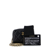 Pearl Crush Zip Around Card Holder on Chain Quilted Lambskin