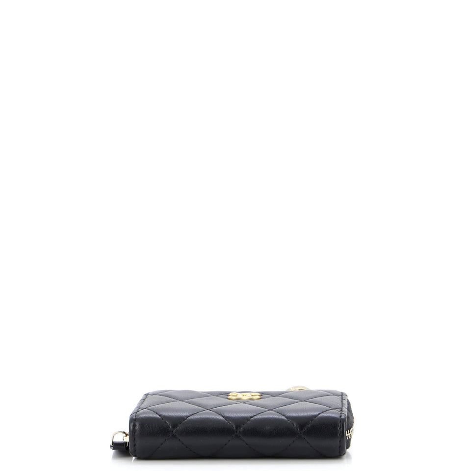 Pearl Crush Zip Around Card Holder on Chain Quilted Lambskin