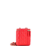 Vertical Classic Vanity Case with Chain Quilted Caviar Mini