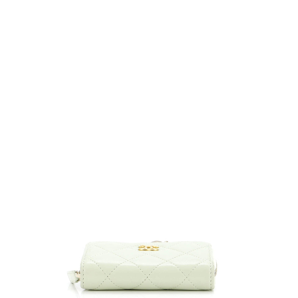 Pearl Crush Zip Around Card Holder on Chain Quilted Lambskin