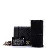 Mademoiselle Vintage Wallet on Chain Quilted Caviar