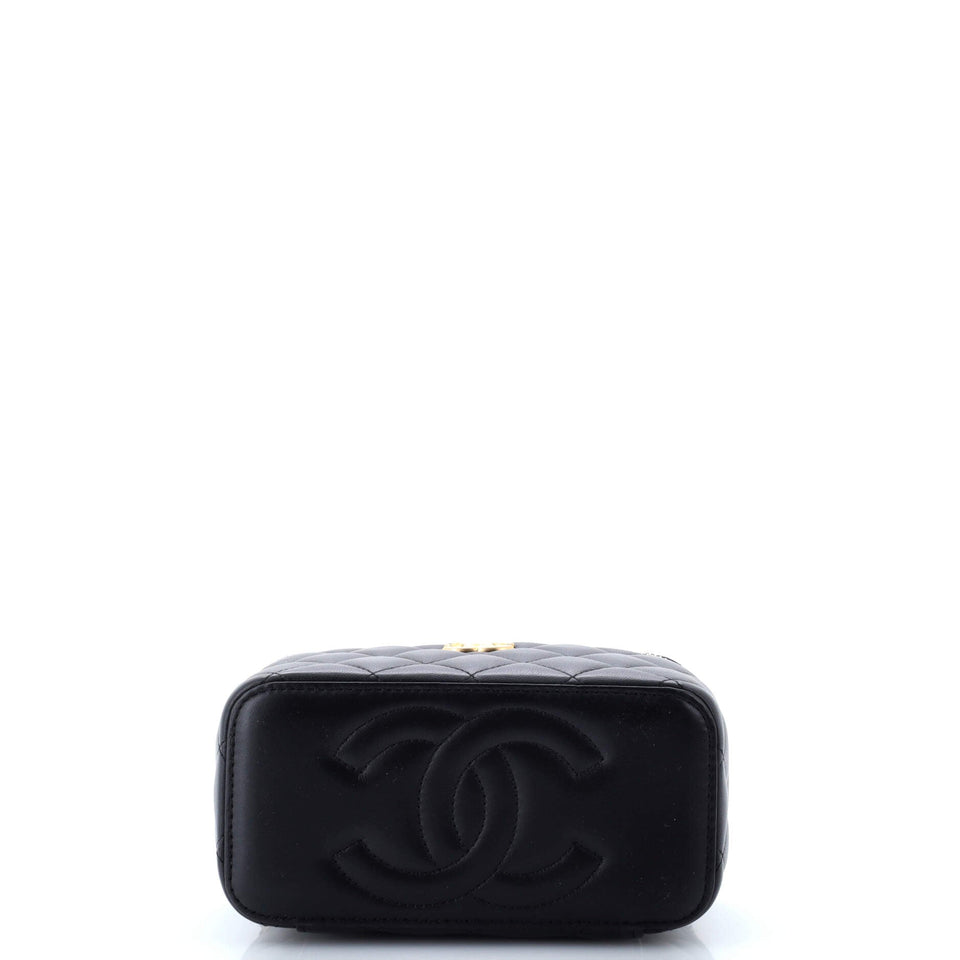 Sweet Camellia Vanity Case with Chain Quilted Lambskin Small