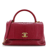 Coco Top Handle Bag Python Medium