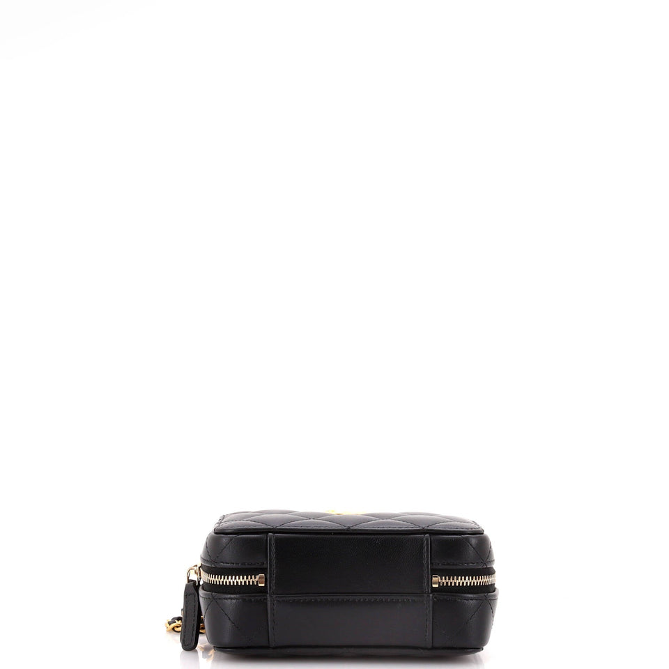 CC Chain Handle Zip Around Vanity Case with Chain Quilted Lambskin Mini