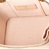 Classic Vanity Case with Chain Quilted Caviar Mini