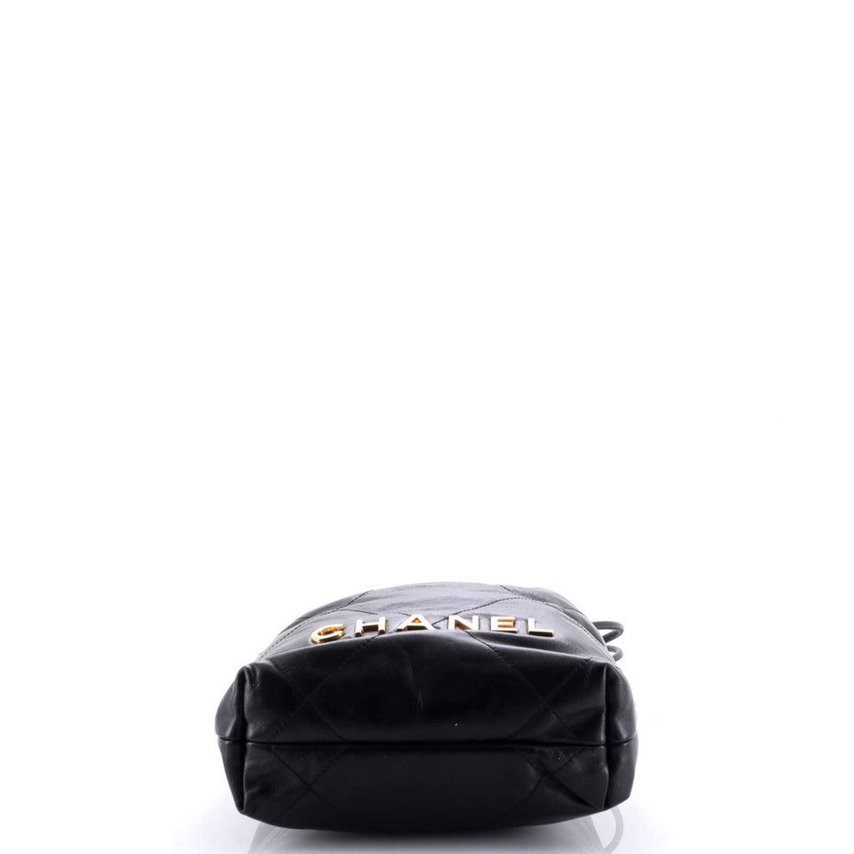 22 Chain Hobo Quilted Calfskin with CC Pearl Chain Mini
