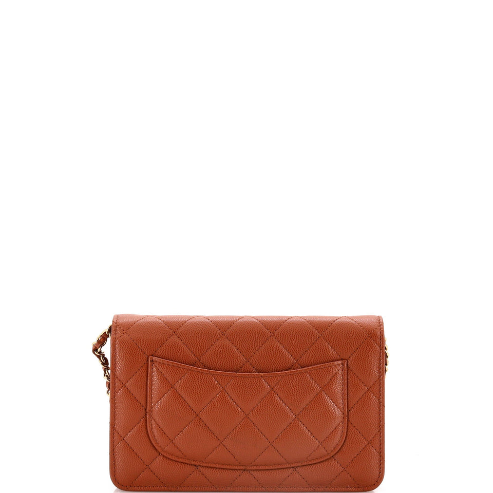 Crystal Woven CC Wallet on Chain Quilted Caviar