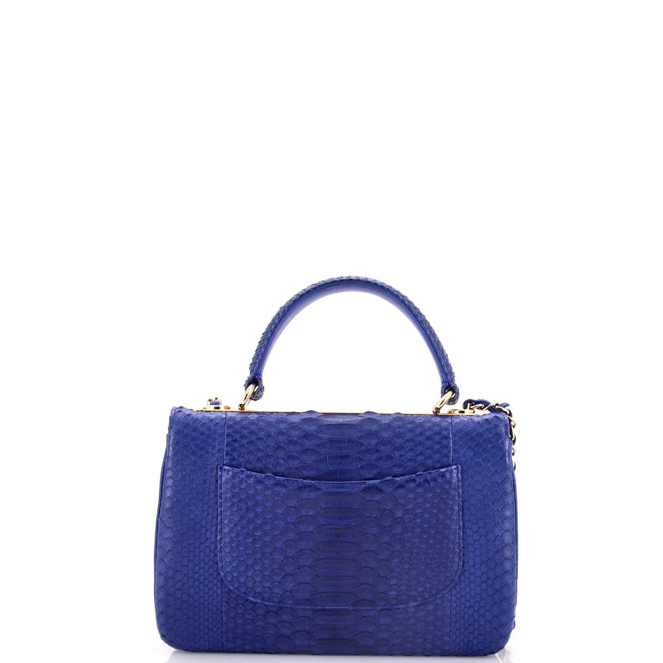 Trendy CC Top Handle Bag Python Small