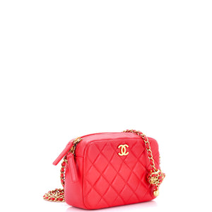 Pearl Crush Camera Case Quilted Lambskin Small