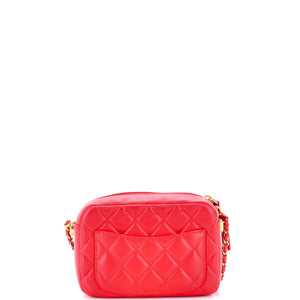Pearl Crush Camera Case Quilted Lambskin Small