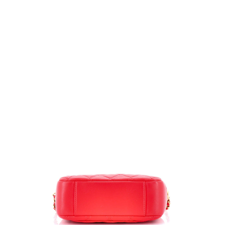 Pearl Crush Camera Case Quilted Lambskin Small