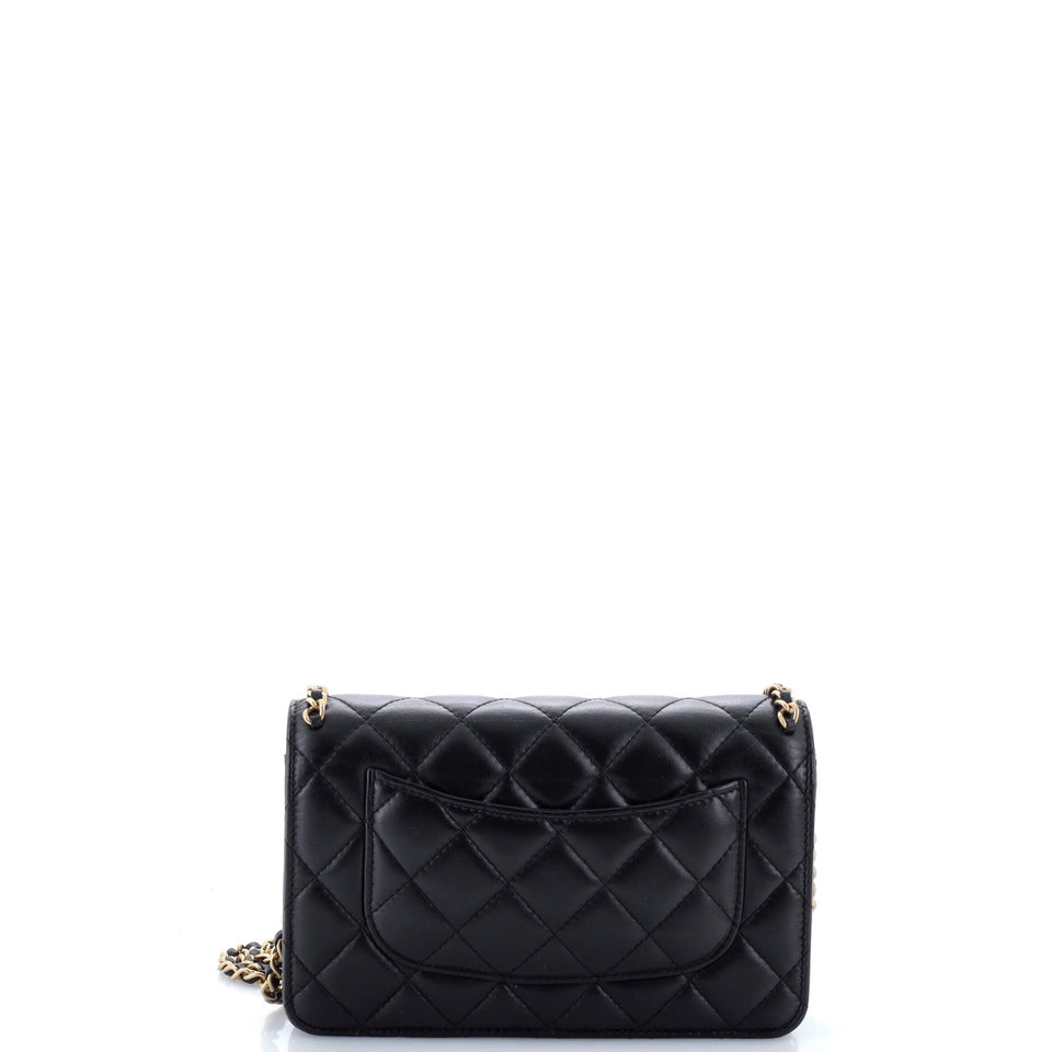 Chain Around Wallet on Chain Quilted Lambskin