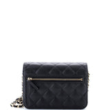 Wallet on Chain Quilted Caviar Mini