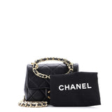 Oval Logo Chain Handle Flap Bag Quilted Lambskin Mini