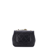 Oval Logo Chain Handle Flap Bag Quilted Lambskin Mini