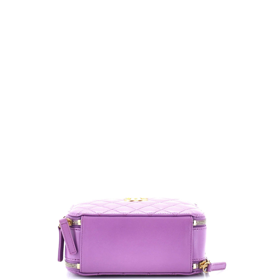 Pick Me Up Logo Handle Vanity Case Quilted Lambskin Small