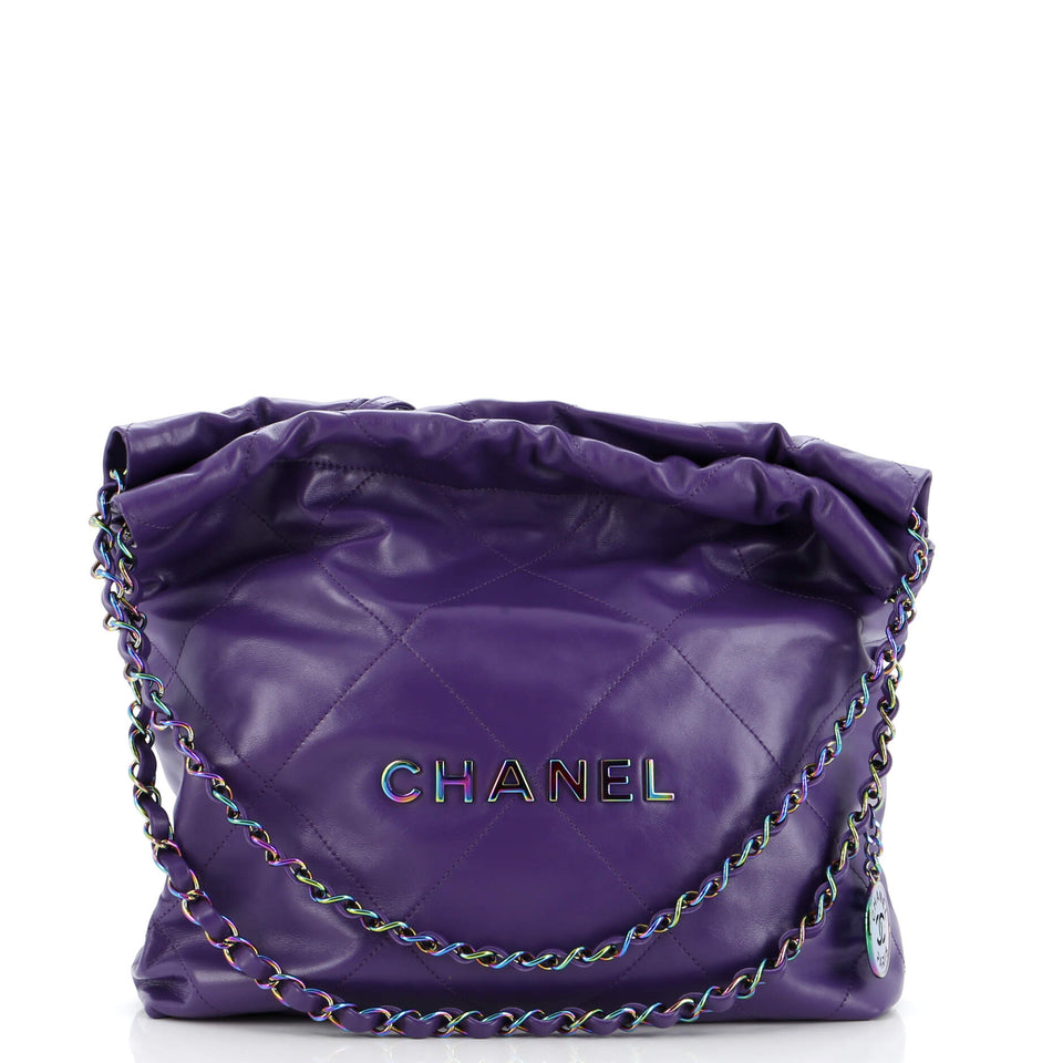 22 Chain Hobo Quilted Calfskin with Rainbow Hardware Small