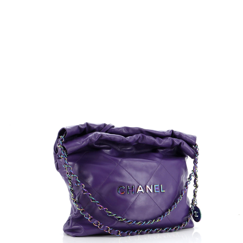 22 Chain Hobo Quilted Calfskin with Rainbow Hardware Small