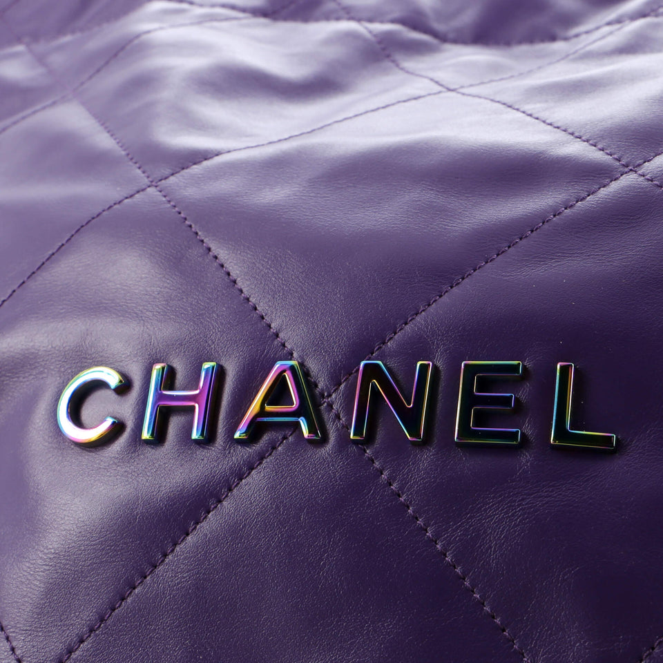 22 Chain Hobo Quilted Calfskin with Rainbow Hardware Small