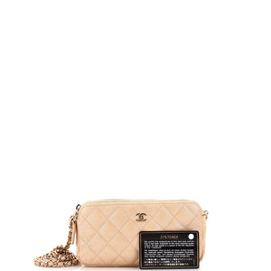 Double Zip Clutch with Chain Quilted Iridescent Caviar