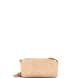 Double Zip Clutch with Chain Quilted Iridescent Caviar