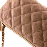 Double Zip Clutch with Chain Quilted Iridescent Caviar