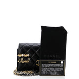 Coco Clips Wallet on Chain Embellished Quilted Lambskin Mini