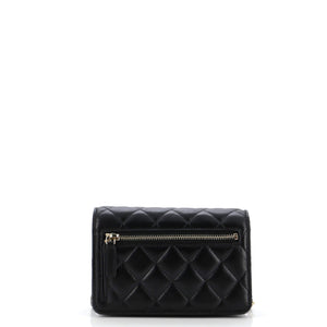 Coco Clips Wallet on Chain Embellished Quilted Lambskin Mini