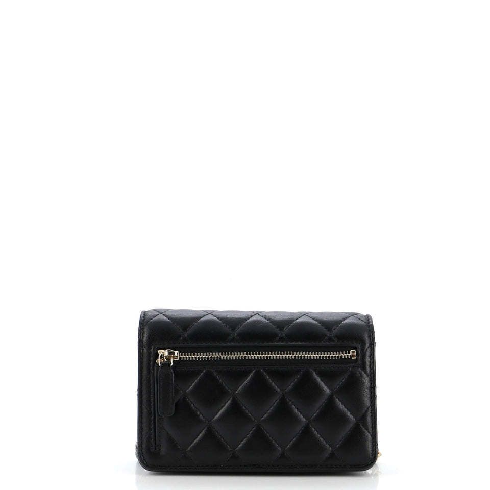 Coco Clips Wallet on Chain Embellished Quilted Lambskin Mini