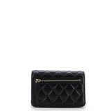 Coco Clips Wallet on Chain Embellished Quilted Lambskin Mini
