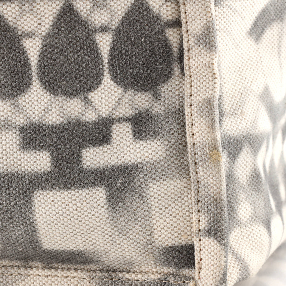 Iliad Shopping Tote Printed Canvas Medium