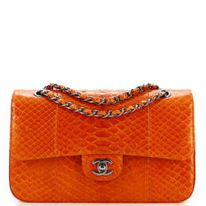 Classic Double Flap Bag Python Medium