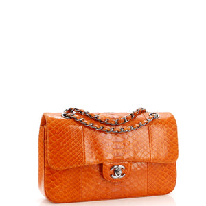 Classic Double Flap Bag Python Medium