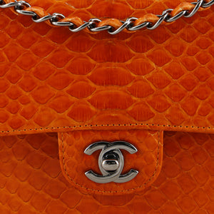 Classic Double Flap Bag Python Medium