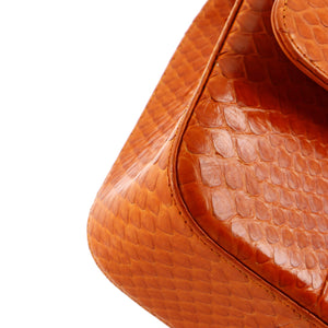 Classic Double Flap Bag Python Medium