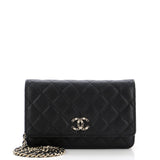 Crystal Woven CC Wallet on Chain Quilted Caviar